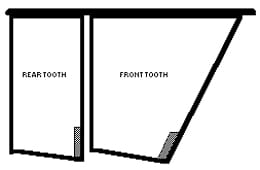 Sharpening Teeth Illustration